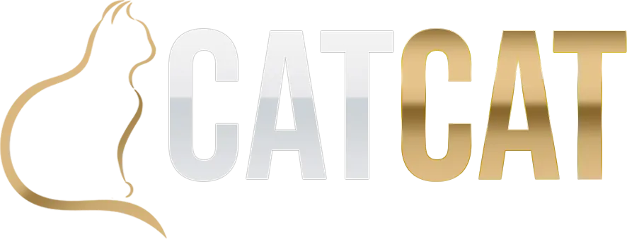CATCAT ศูนย์รวมความมันส์ที่คนรักสล็อตต้องลอง รวมค่ายดังระดับโลกไว้ในที่เดียว